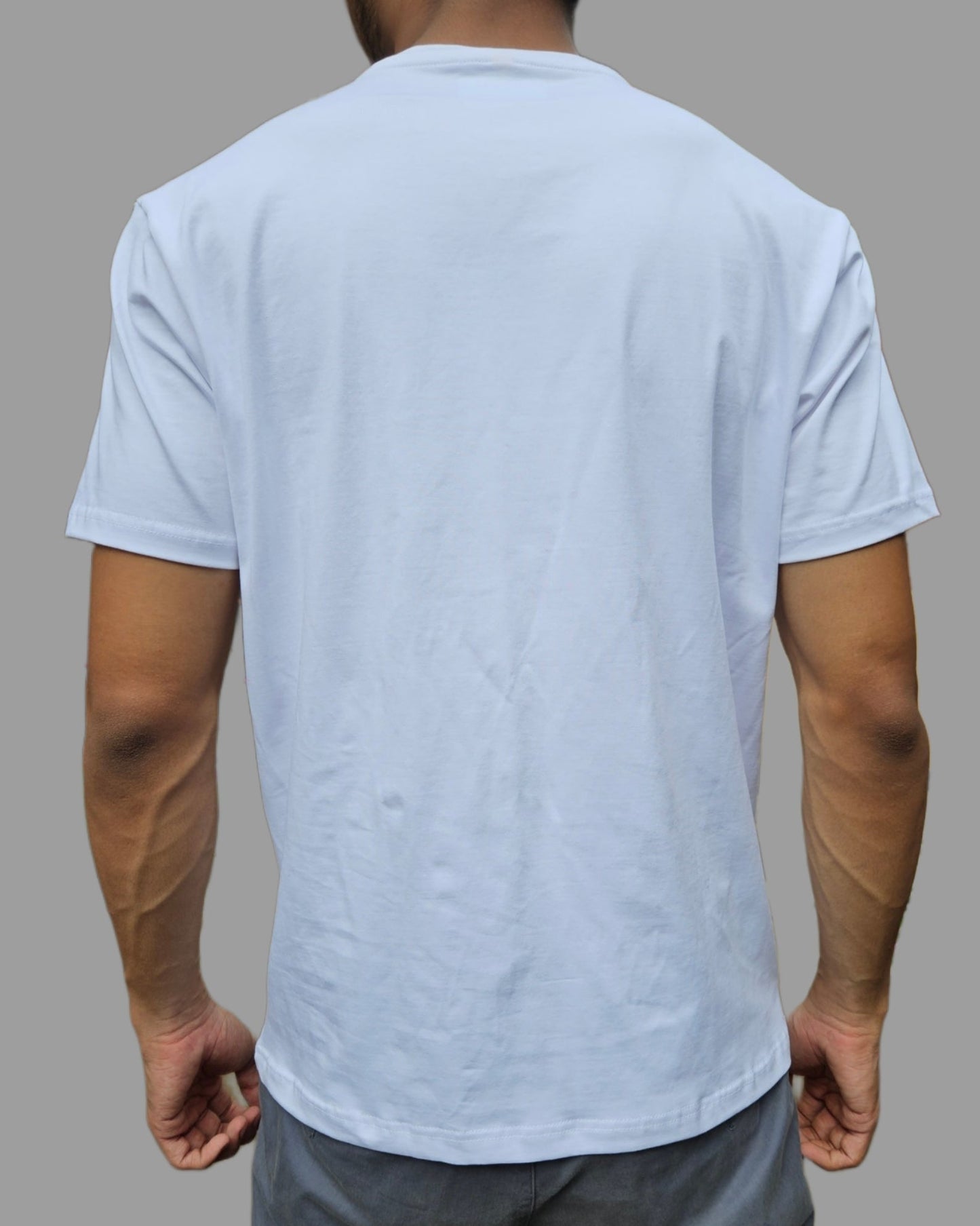 Male T shirt combo Of 2